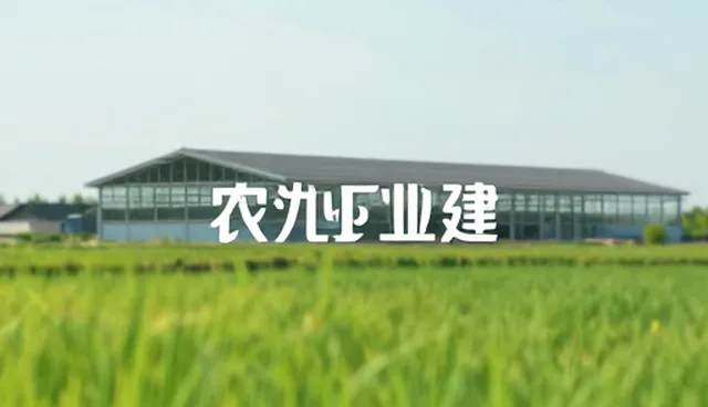 平面设计内容质量如何保障？适用条件有哪些？